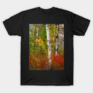 Fall colors T-Shirt